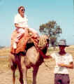 GraceCamel-1984.jpg (22376 bytes)